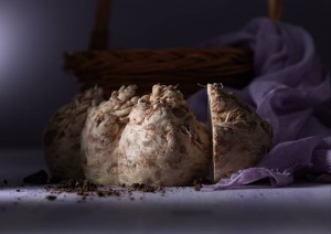 10584214_10203957024918466_866943988_n