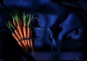 10681701_10203957025238474_1411449832_n