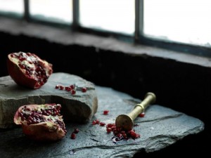 10715975_10203957025158472_310781377_n