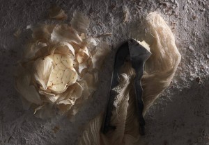 10716013_10203957025358477_1628841184_n