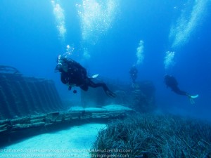 ALONISSOS-BLUE-DREAM-DIVING